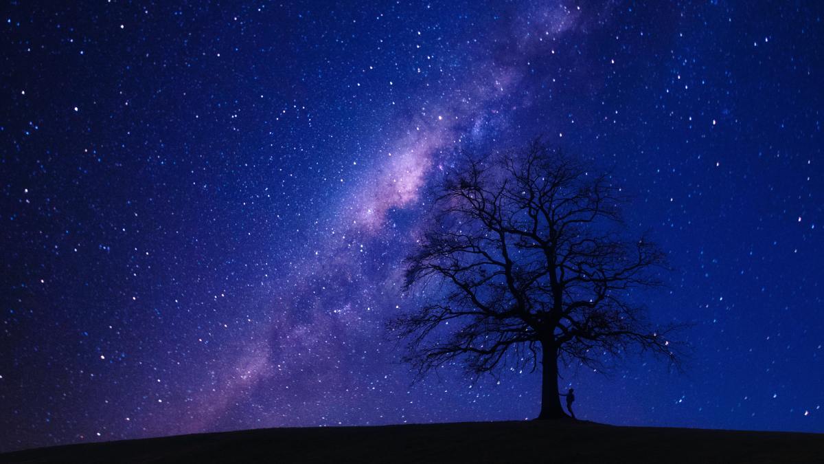 Finding Your North&nbsp;Star