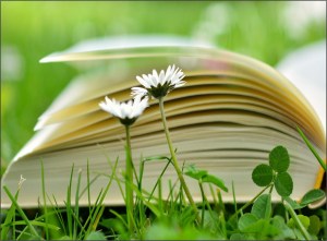 Exclusive access to resources for attendees of Navigating Widowhood seminars.