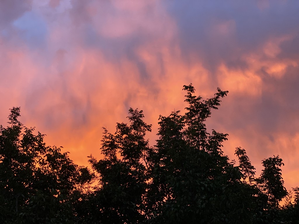 The View From Five Years&nbsp;Out