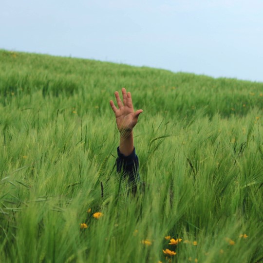 Resources for the Newly Widowed. Learn how to navigate life after the loss of a spouse or partner.